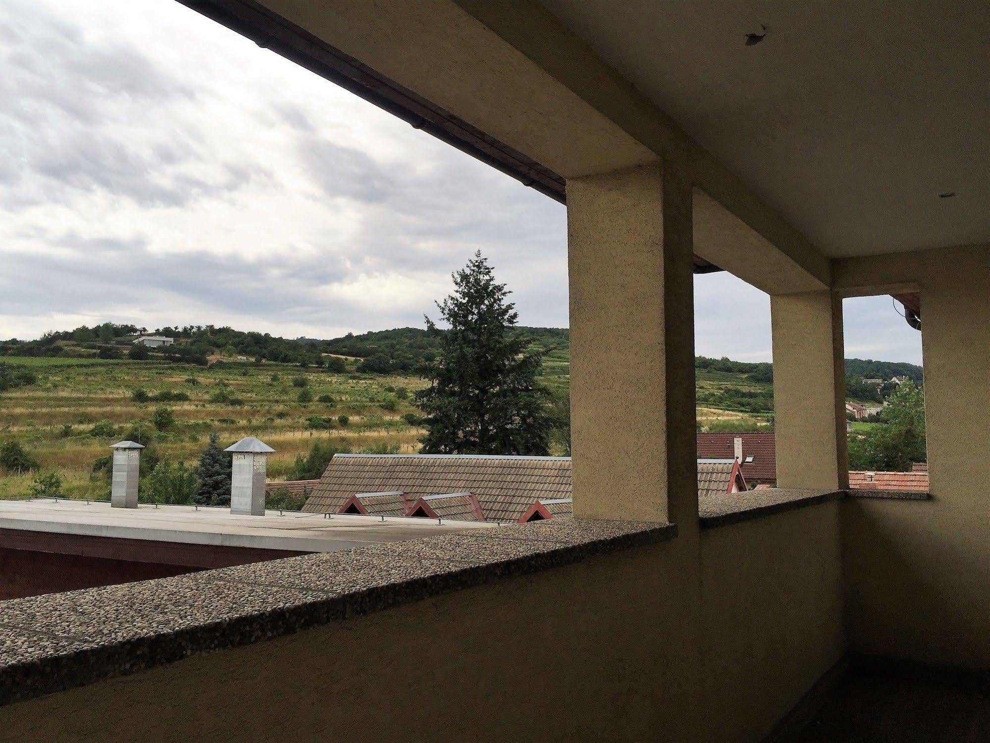 Hotel Maxim Свети-Юр Экстерьер фото